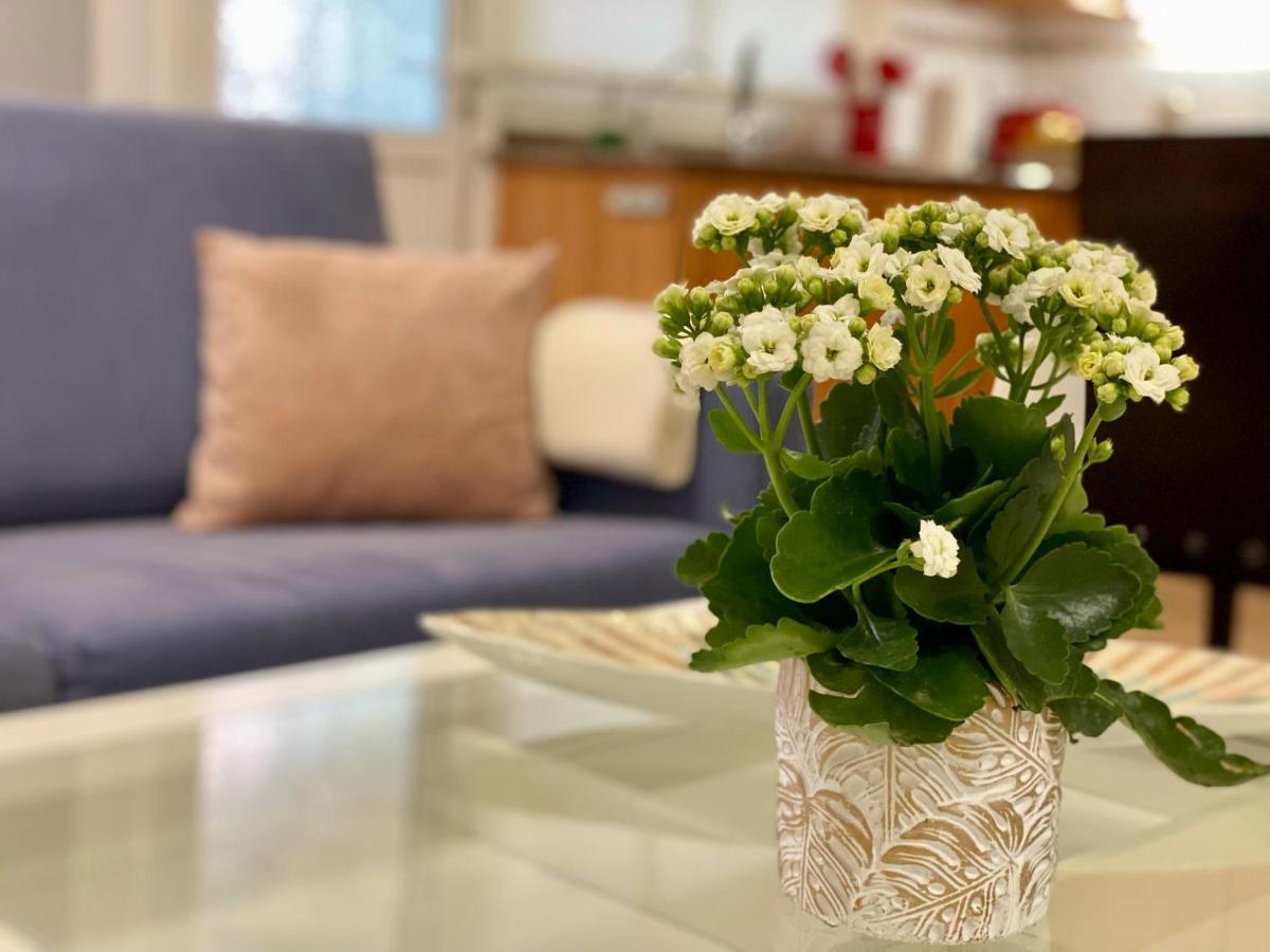 Elegante Piso En Puerto De La Cruz Daire Dış mekan fotoğraf